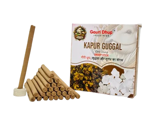 WhatsApp_Image_2025-06-07_at_15.50.40_f827a640-removebg-preview